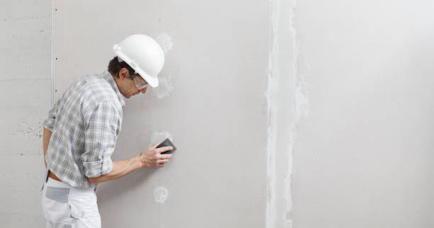 Best Drywall Sanding and Smoothing  in Brentwood, MD