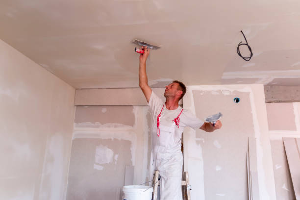 Best Drywall Texturing  in Brentwood, MD